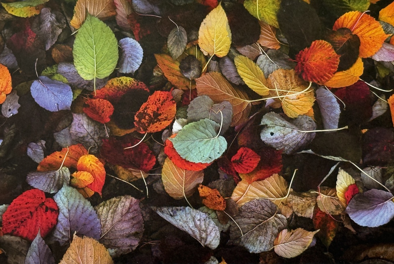 Jendo Štoviček, Brez naslova, 2007 - 2015, fotografija